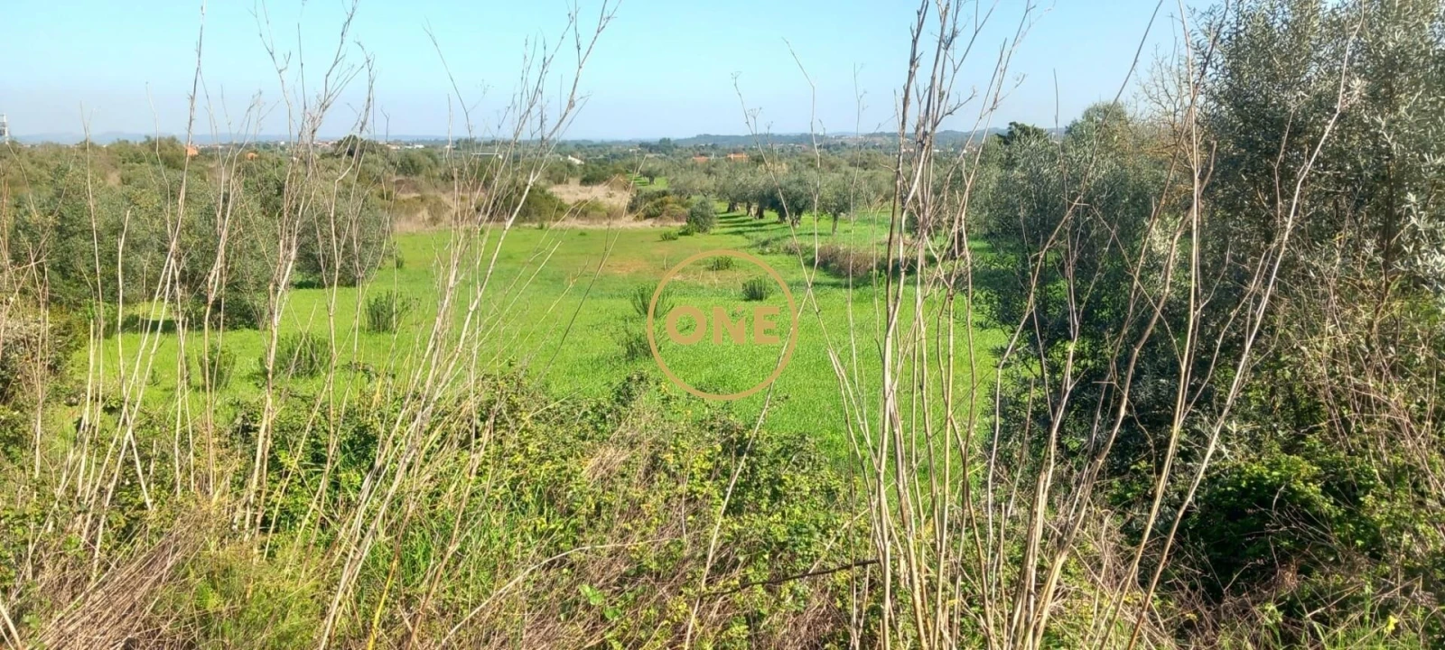 Terreno para Venda em Olaia e Paço Foto 1