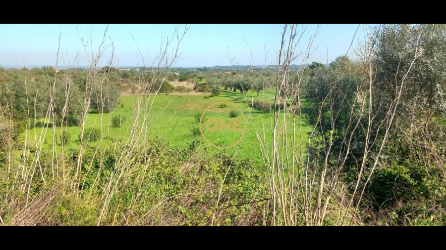 Terreno para Venda em Olaia e Paço