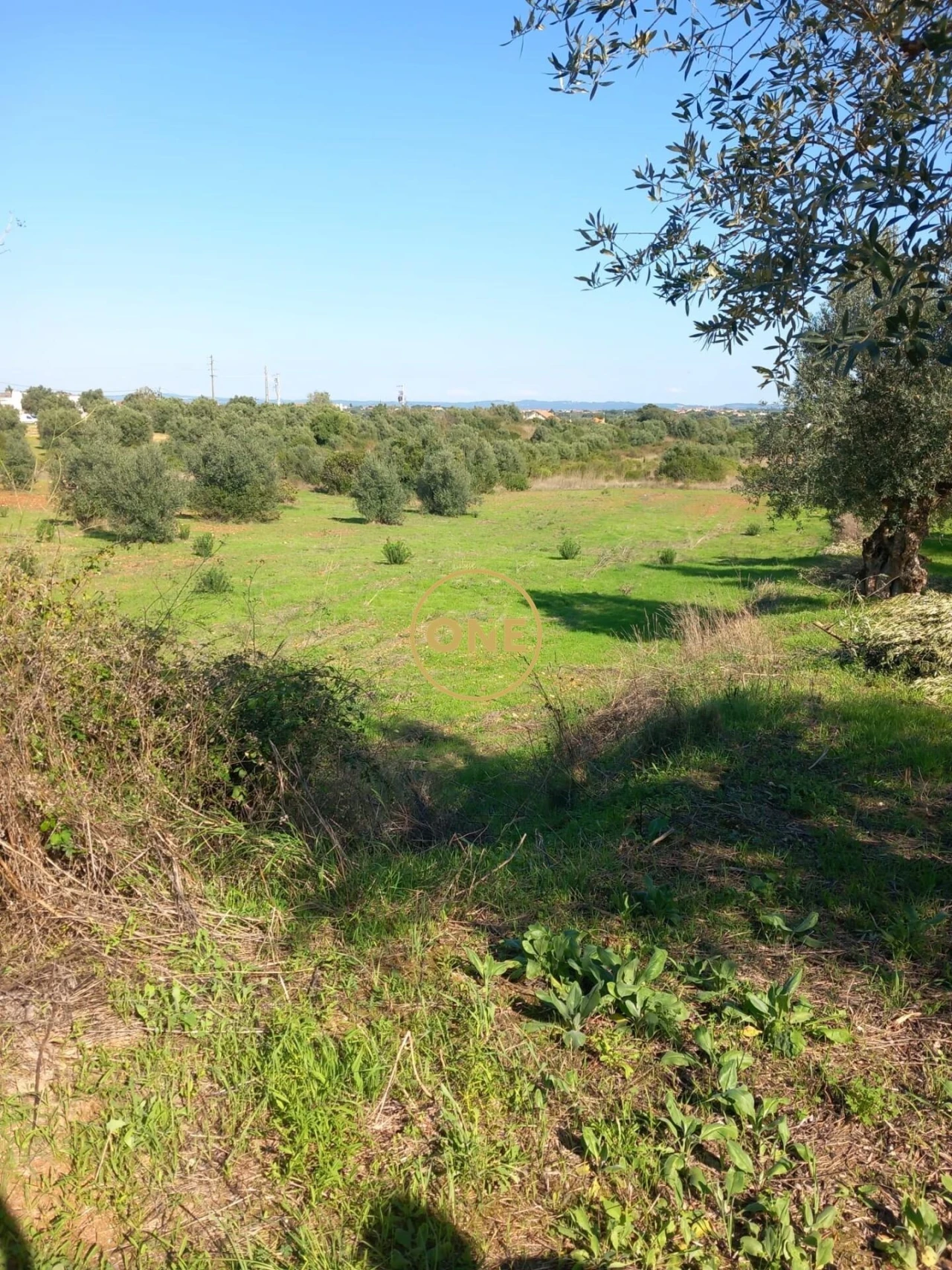 Terreno para Venda em Paialvo Foto 2