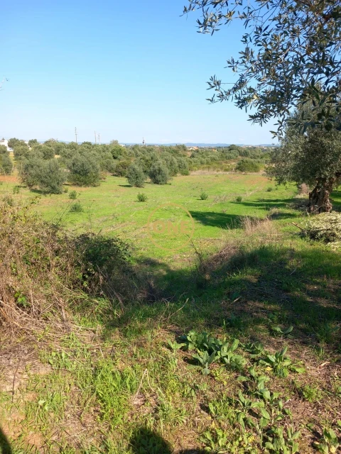Terreno para Venda em Paialvo