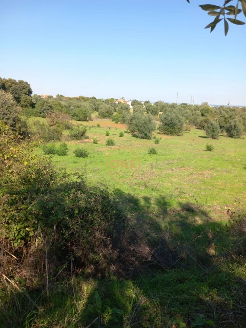Terreno para Venda em Paialvo