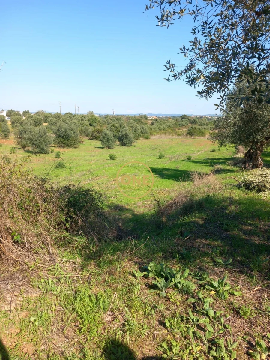 Terreno para Venda em Paialvo Foto 2