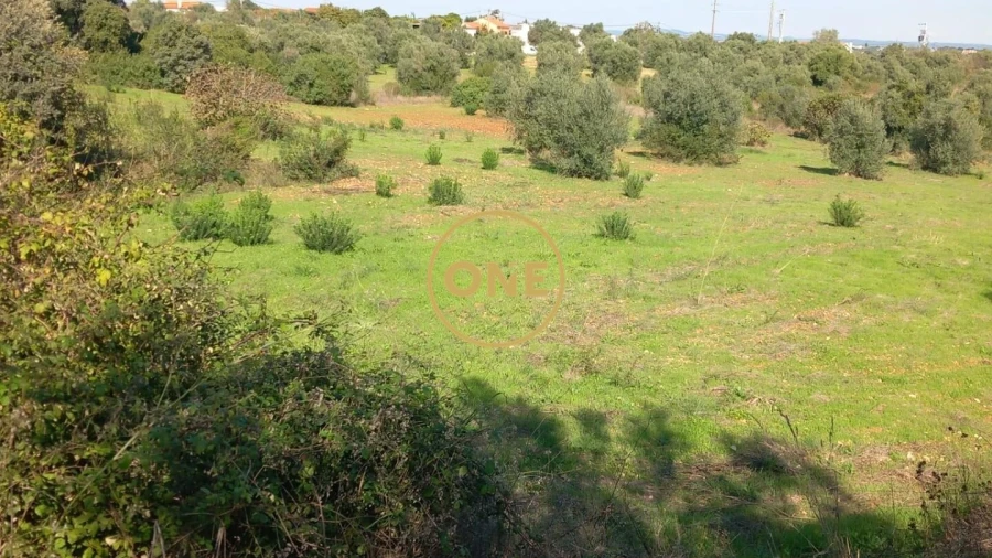 Terreno para Venda em Paialvo