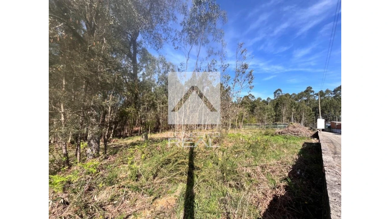 Terreno para Venda em Argoncilhe Foto 3