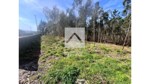 Terreno para Venda em Argoncilhe