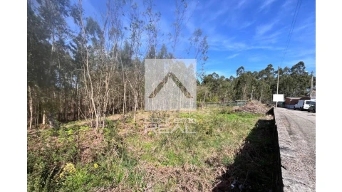 Terreno para Venda em Argoncilhe