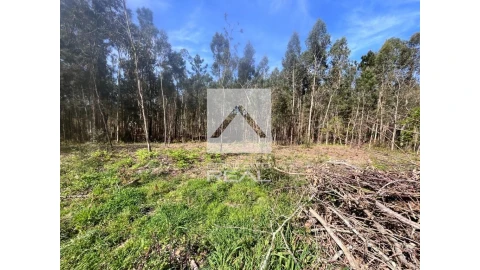Terreno para Venda em Argoncilhe