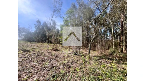 Terreno para Venda em Argoncilhe