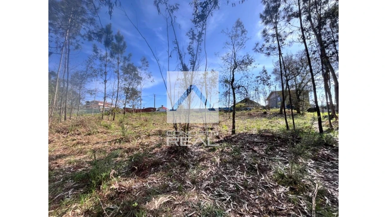 Terreno para Venda em Argoncilhe Foto 9