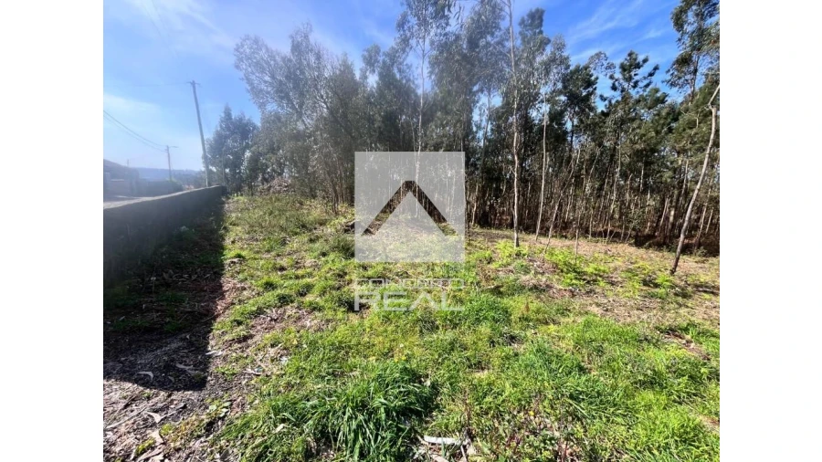 Terreno para Venda em Argoncilhe Foto 5