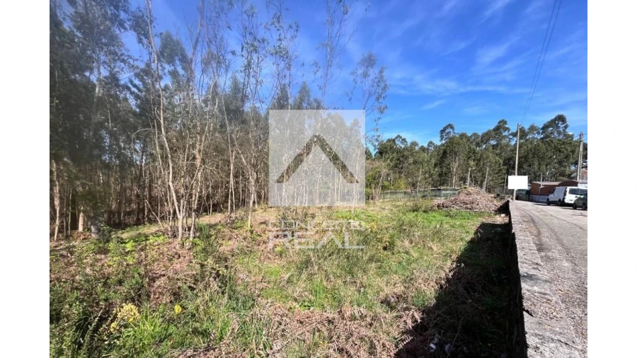 Terreno para Venda em Argoncilhe Foto 4