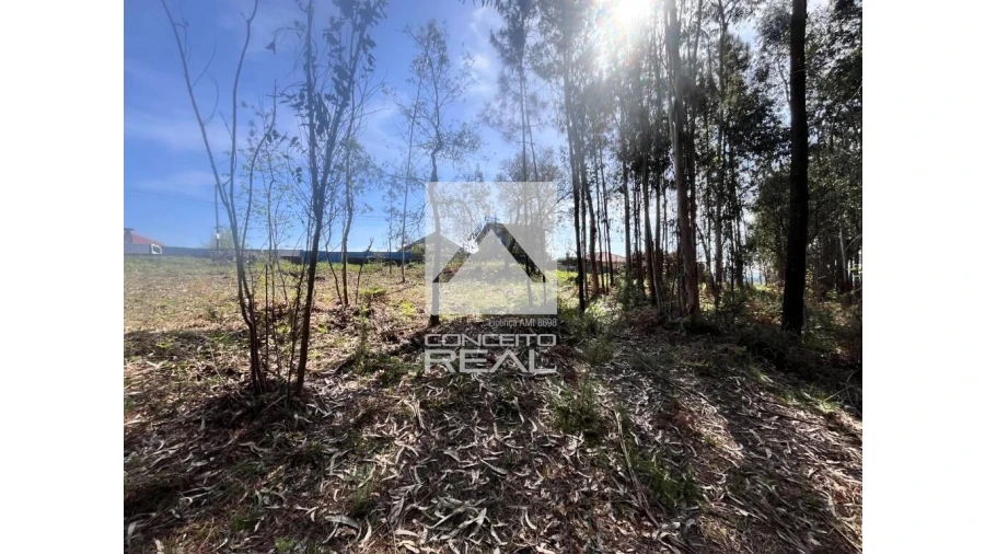 Terreno para Venda em Argoncilhe Foto 10