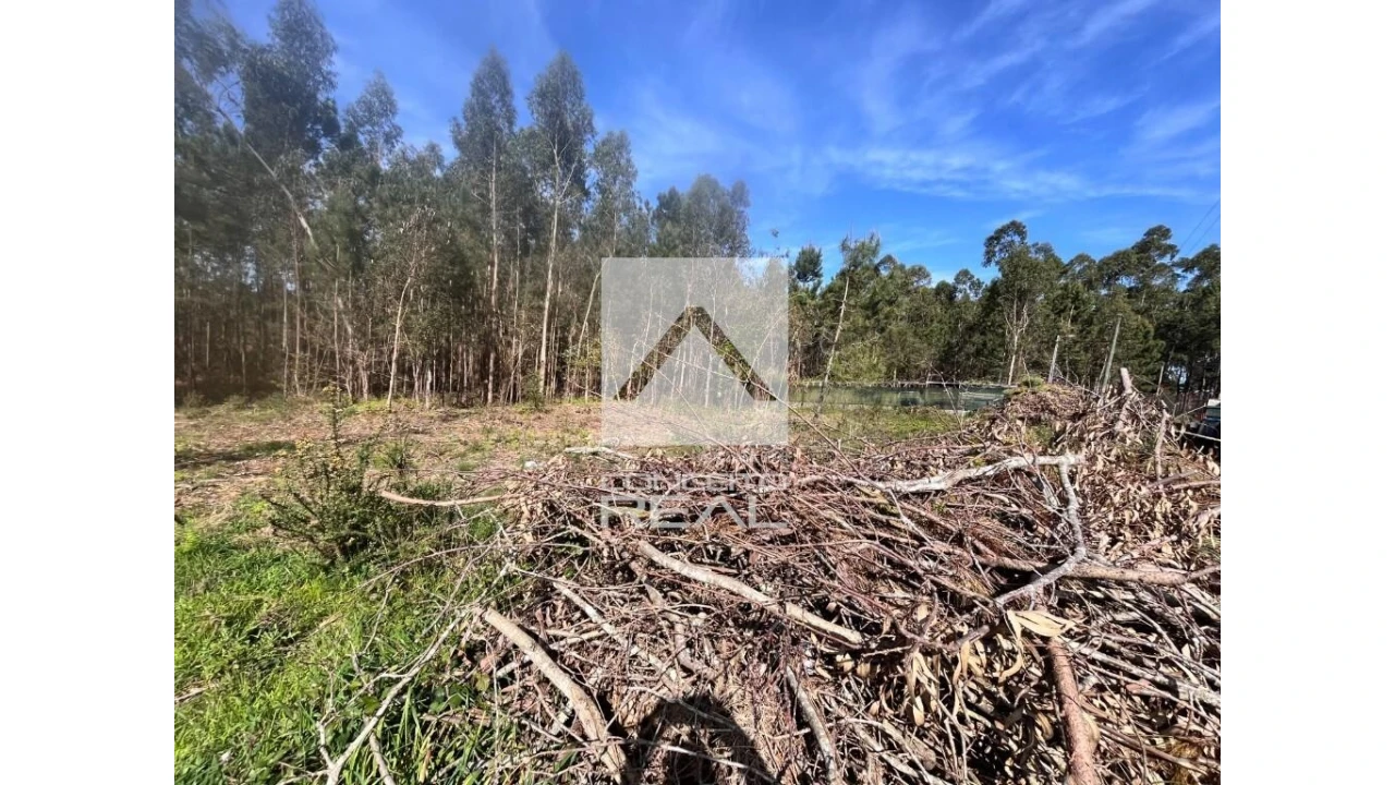 Terreno para Venda em Argoncilhe Foto 7
