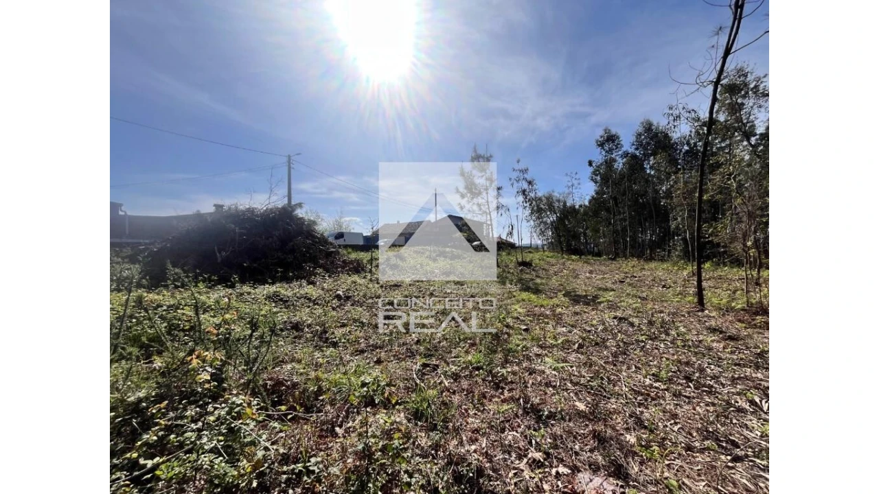 Terreno para Venda em Argoncilhe Foto 8