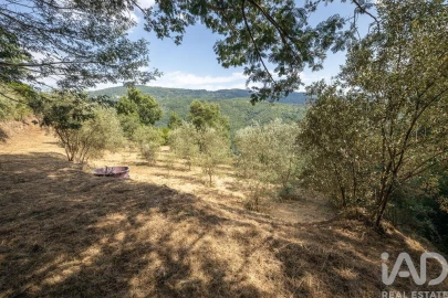 Terreno para Venda em Sandomil