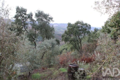 Terreno para Venda em Sandomil