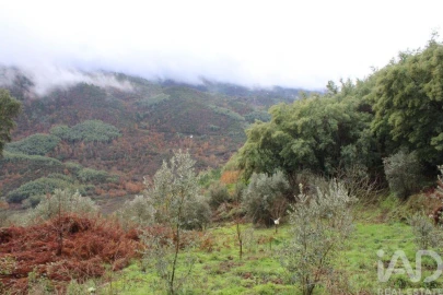 Terreno para Venda em Sandomil