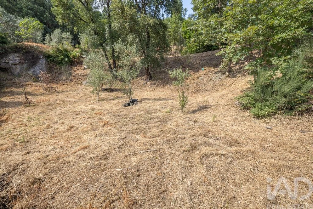 Terreno para Venda em Sandomil Foto 8