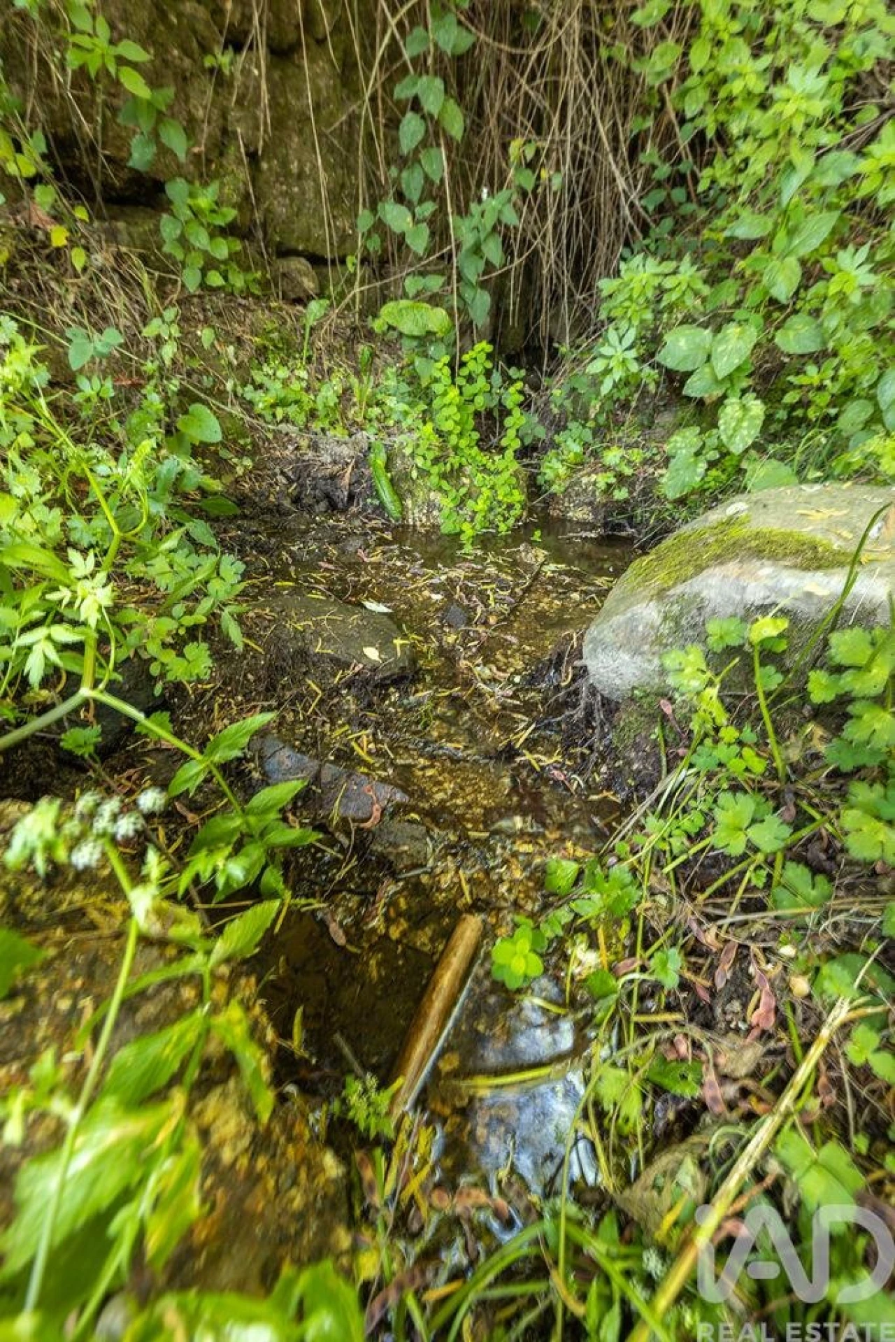 Terreno para Venda em Sandomil Foto 7