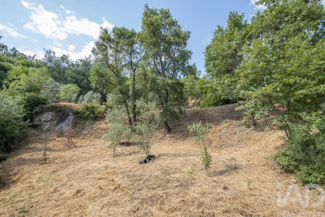 Terreno para Venda em Sandomil Foto 10