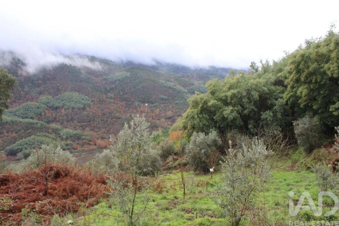 Terreno para Venda em Sandomil Foto 5