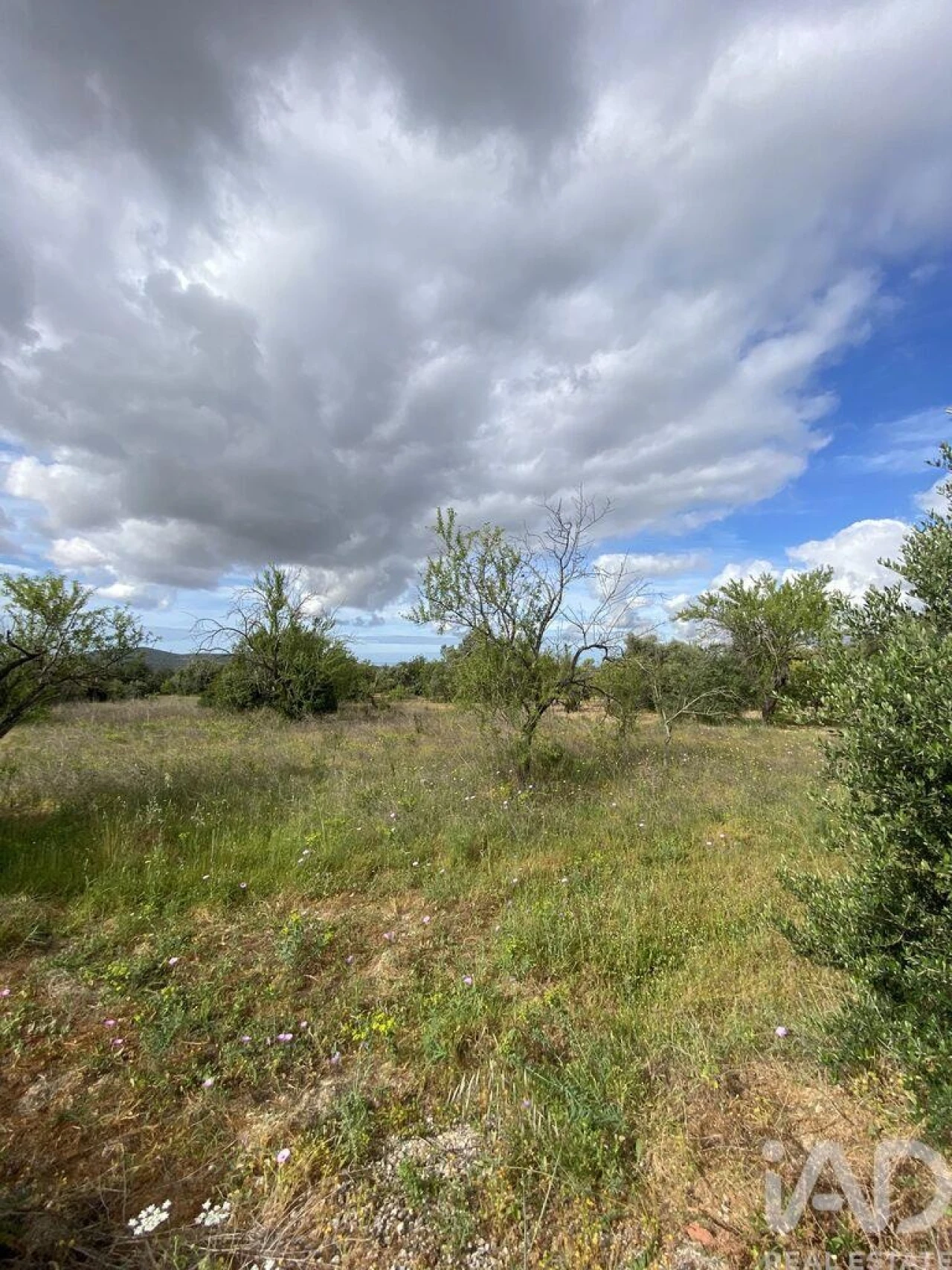 Terreno para Venda em Loule (São Sebastião) Foto 15