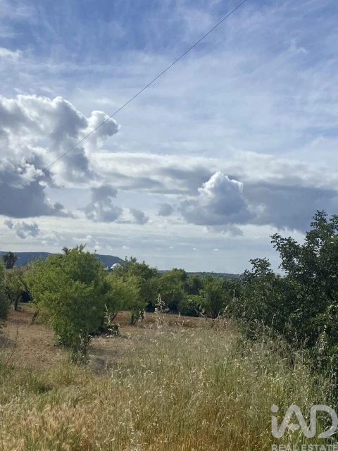 Terreno para Venda em Loule (São Sebastião)