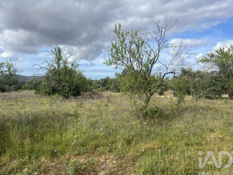 Terreno para Venda em Loule (São Sebastião) Foto 12