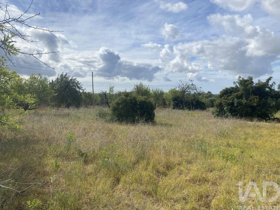 Terreno para Venda em Loule (São Sebastião) Foto 8