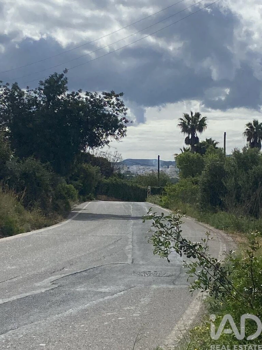 Terreno para Venda em Loule (São Sebastião) Foto 5