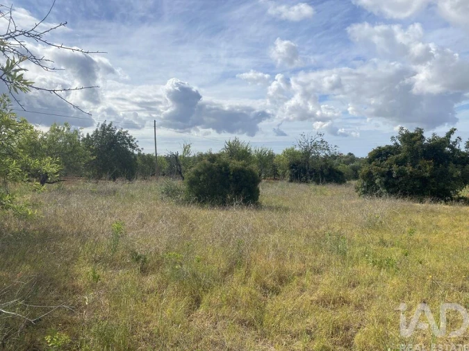 Terreno para Venda em Loule (São Sebastião) Foto 8