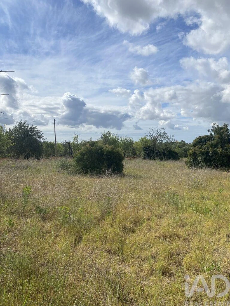 Terreno para Venda em Loule (São Sebastião) Foto 11