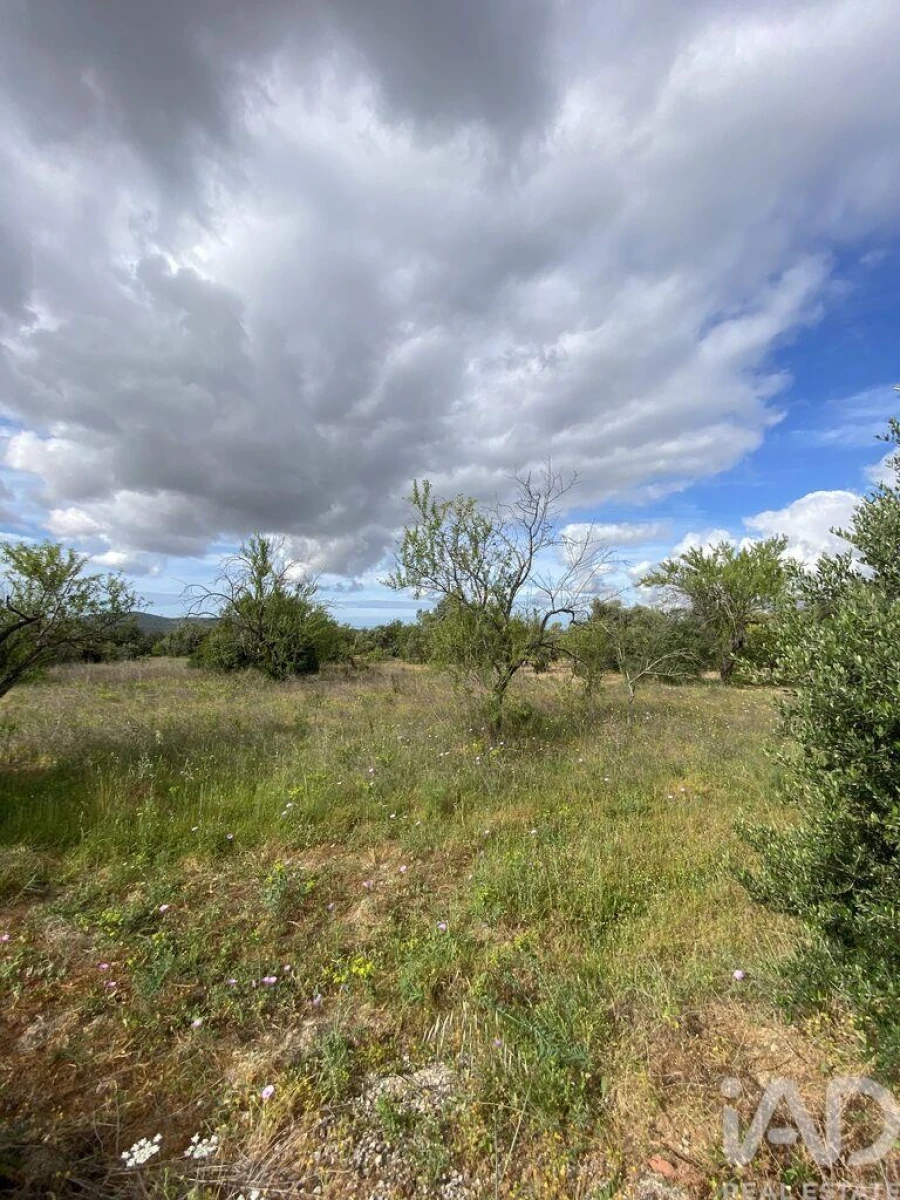 Terreno para Venda em Loule (São Sebastião) Foto 13
