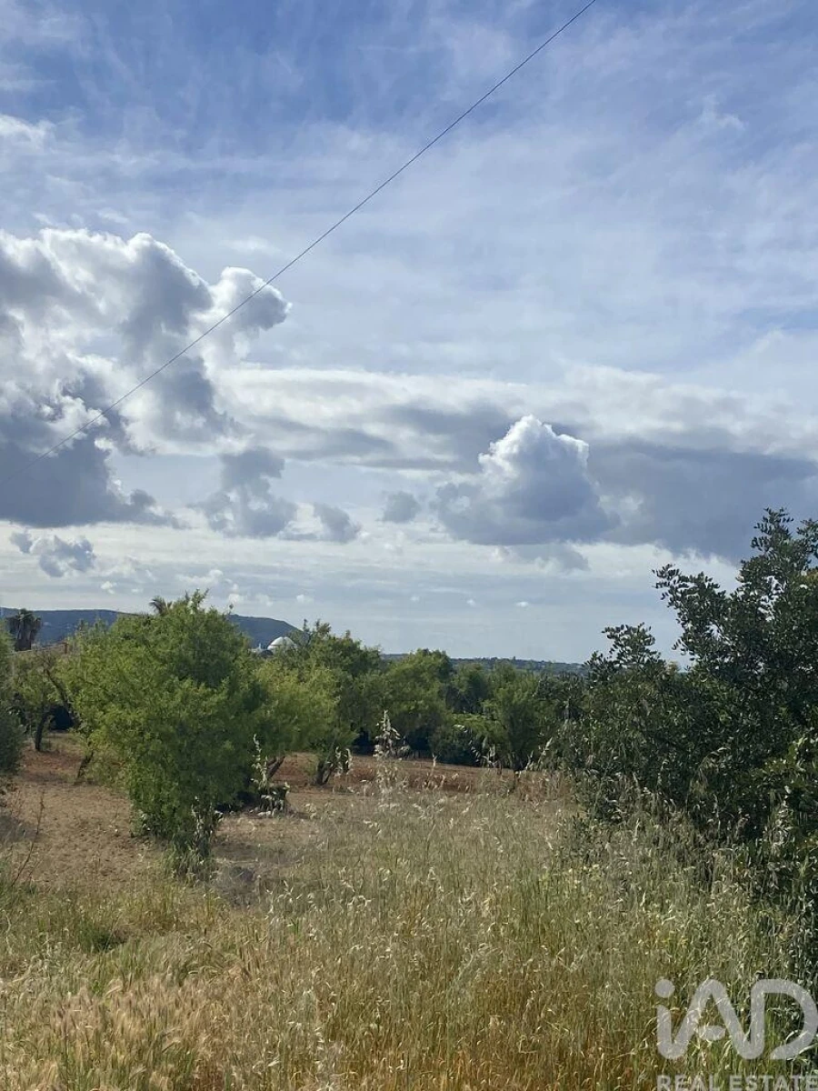Terreno para Venda em Loule (São Sebastião) Foto 10