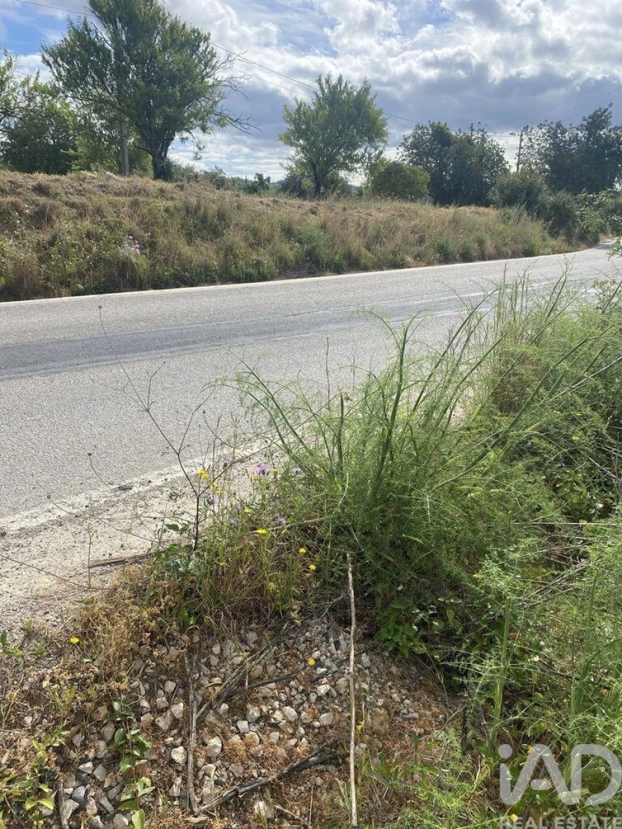 Terreno para Venda em Loule (São Sebastião) Foto 4