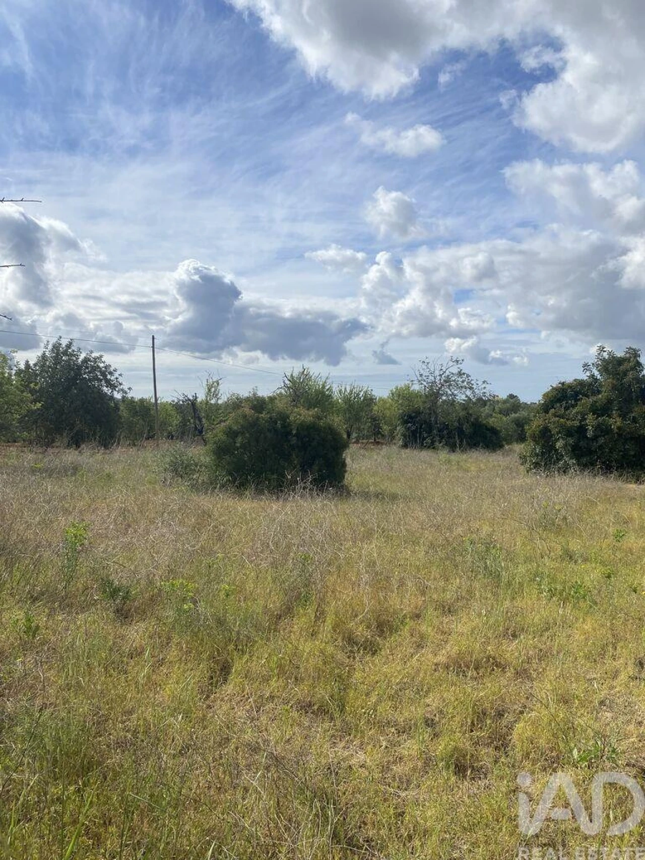 Terreno para Venda em Loule (São Sebastião) Foto 11