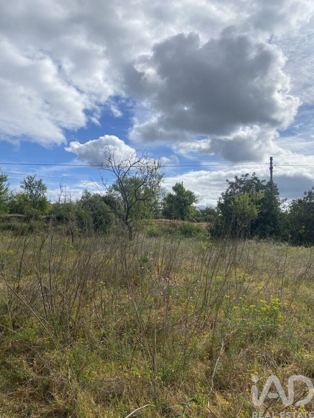 Terreno para Venda em Loule (São Sebastião) Foto 9