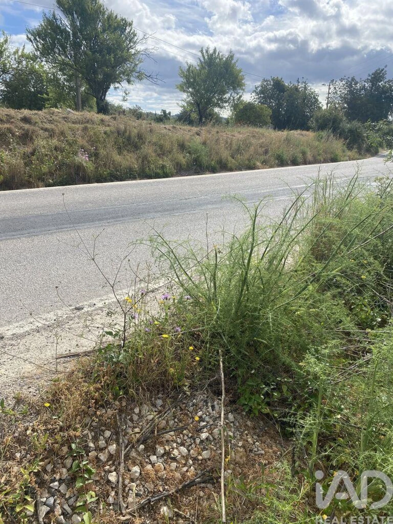 Terreno para Venda em Loule (São Sebastião) Foto 4