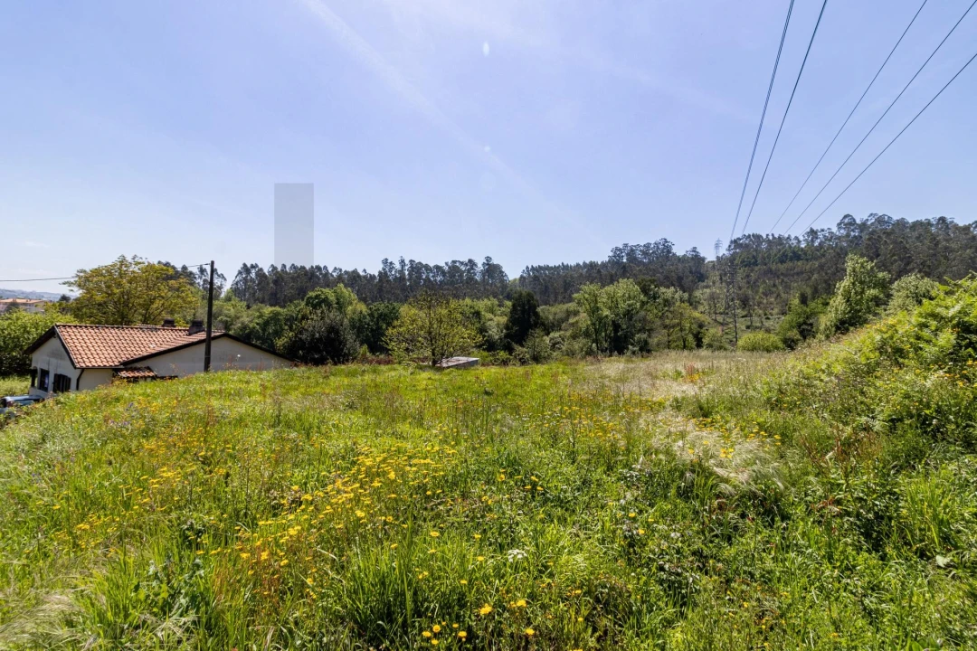 Terreno para Venda em O. Azeméis, Riba-Ul, Ul, Macinhata Seixa, Madail Foto 7