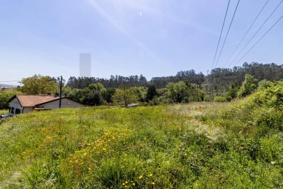 Terreno para Venda em O. Azeméis, Riba-Ul, Ul, Macinhata Seixa, Madail