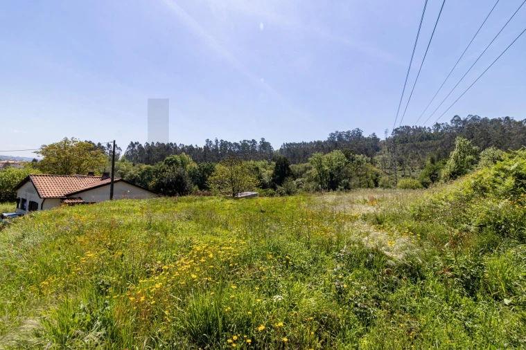 Terreno para Venda em O. Azeméis, Riba-Ul, Ul, Macinhata Seixa, Madail Foto 7