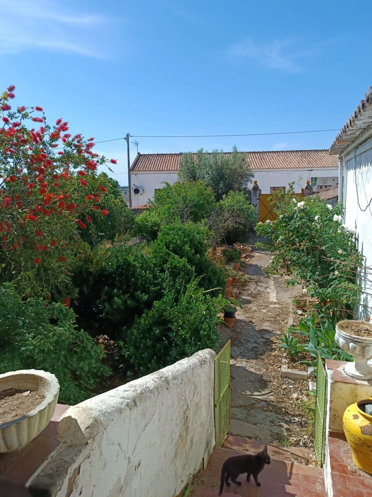 Moradia T4 para Venda em Selmes Foto 45