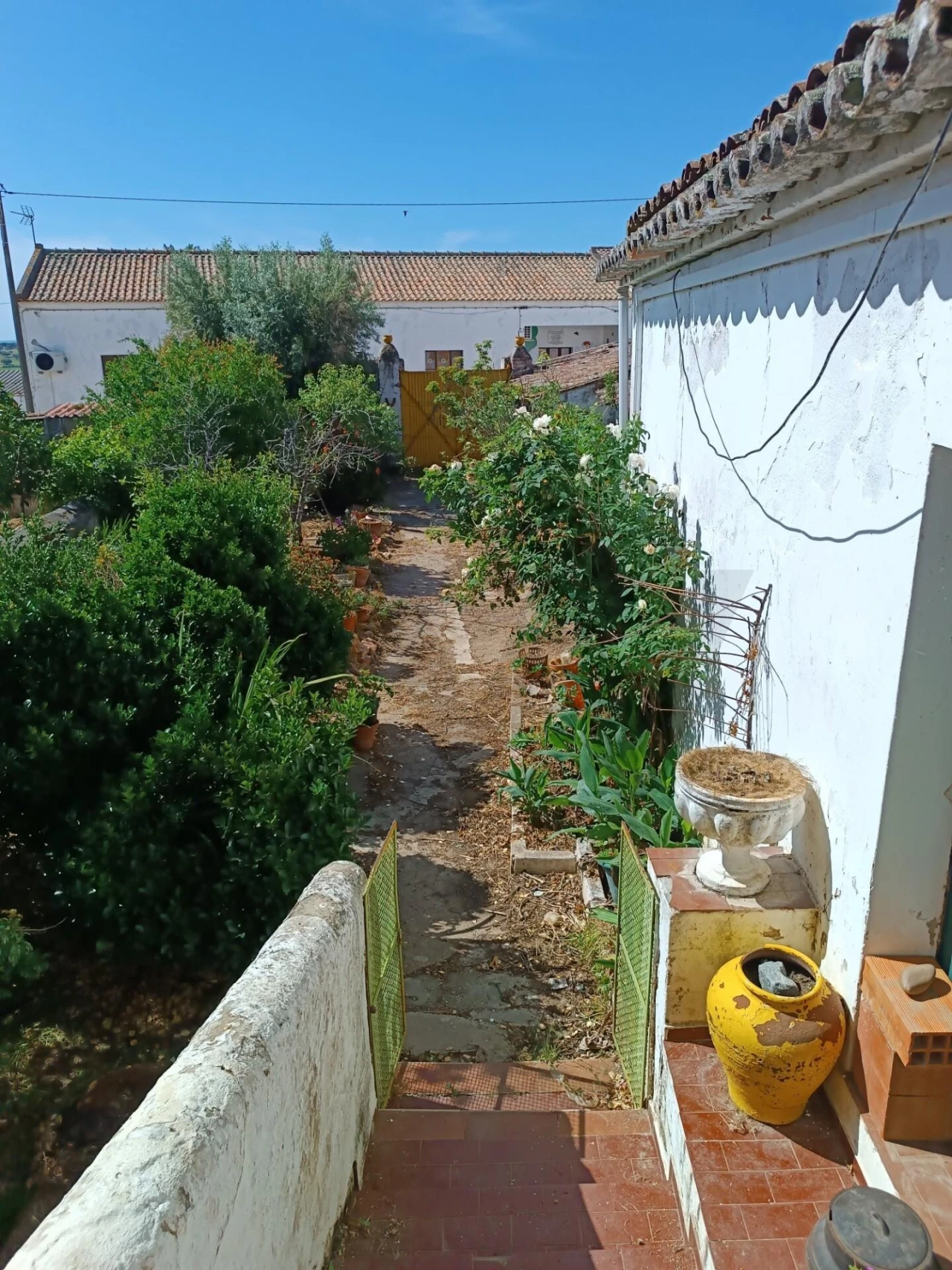 Moradia T4 para Venda em Selmes Foto 55