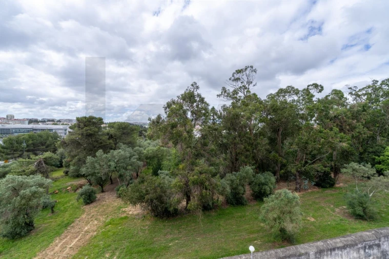 Apartamento T2 para Arrendamento em Carnide Foto 3
