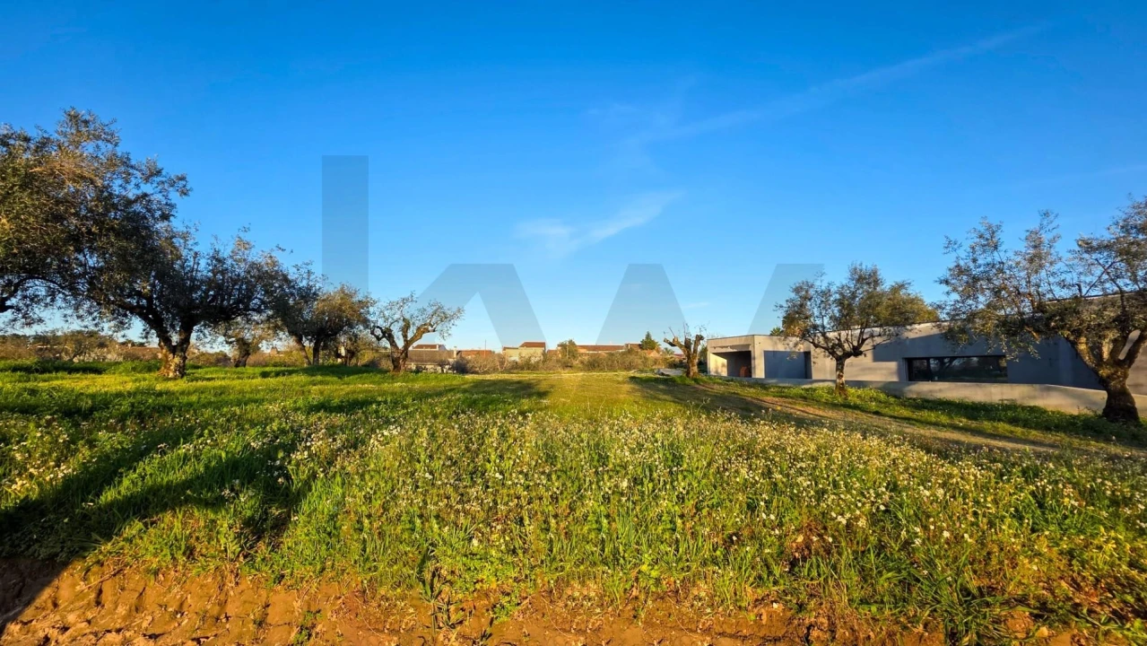 Terreno para Venda em Ega Foto 6