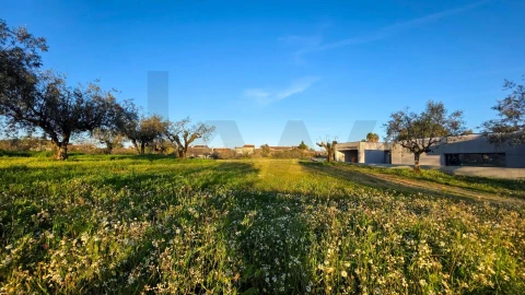 Terreno para Venda em Ega