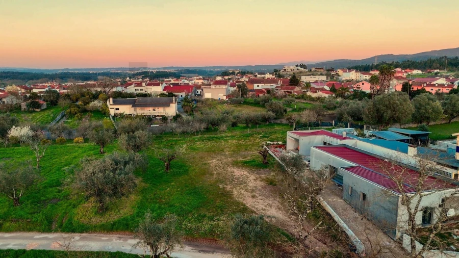 Terreno para Venda em Ega Foto 4