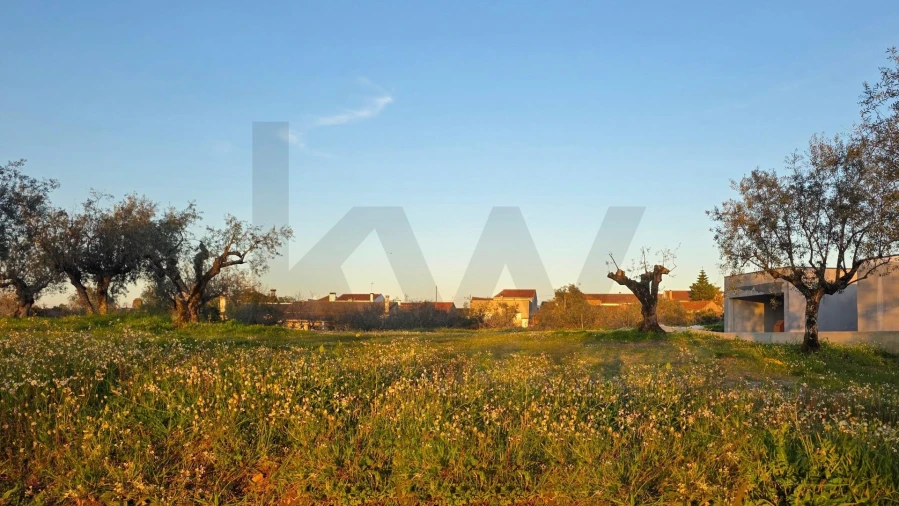 Terreno para Venda em Ega Foto 5