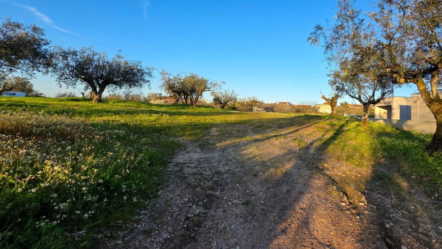 Terreno para Venda em Ega Foto 8