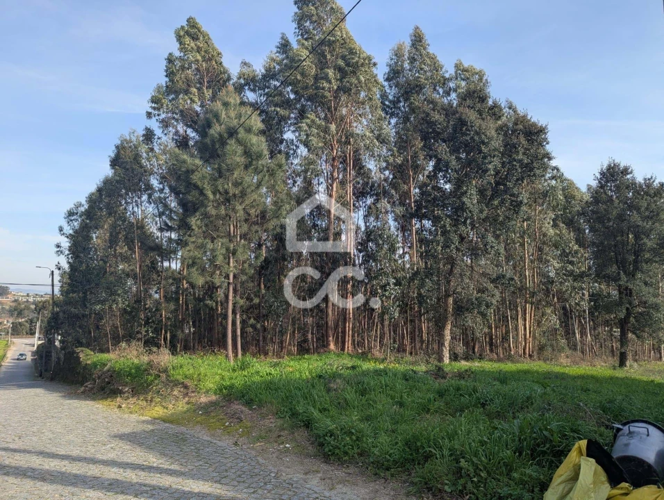 Terreno para Venda em Lousado Foto 1